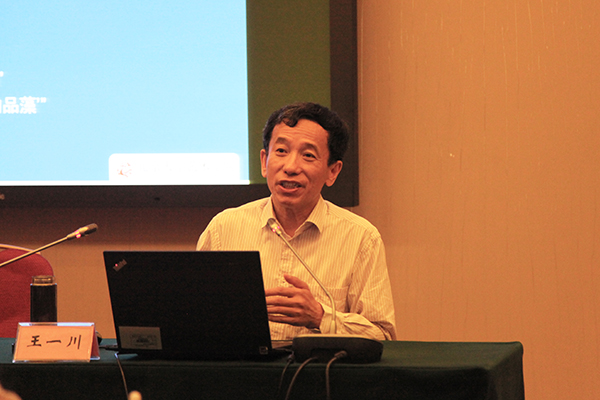 北京大学艺术学院教授王一川作题为《通向中国艺术心灵传统》专题讲座